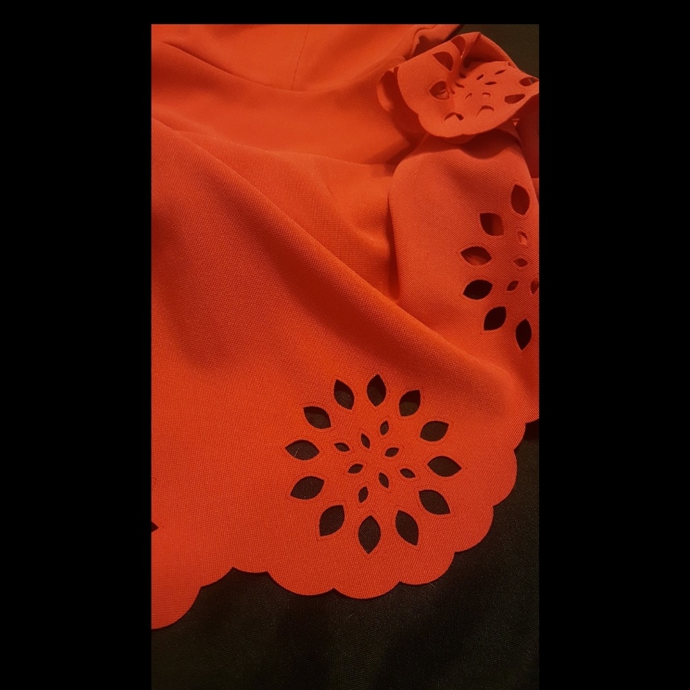 Red Sundres - Picture 4 of 4